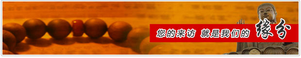 戴高乐无边际泳池
